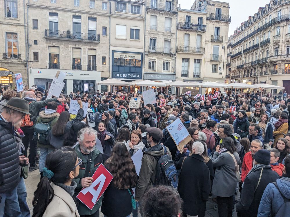 Large crowd with protest signs in Montpellier, France