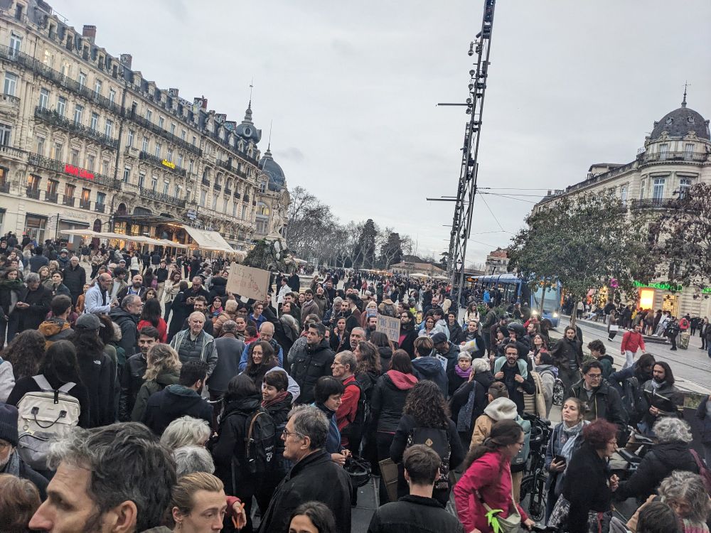 Large crowd with protest signs in Montpellier, France