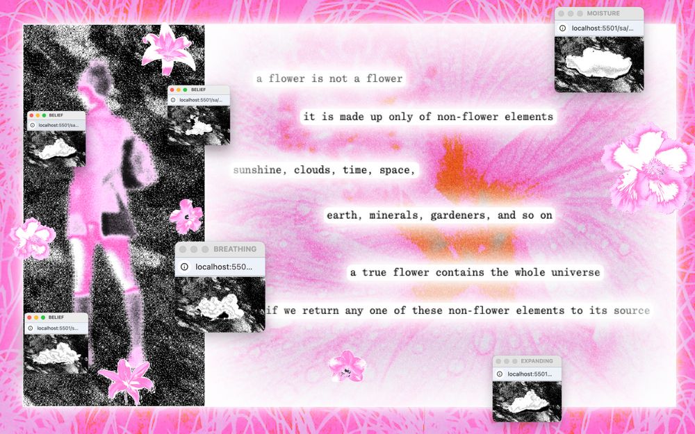 screen for here, flower picking, manila north showing text against a collage background of mac windows
