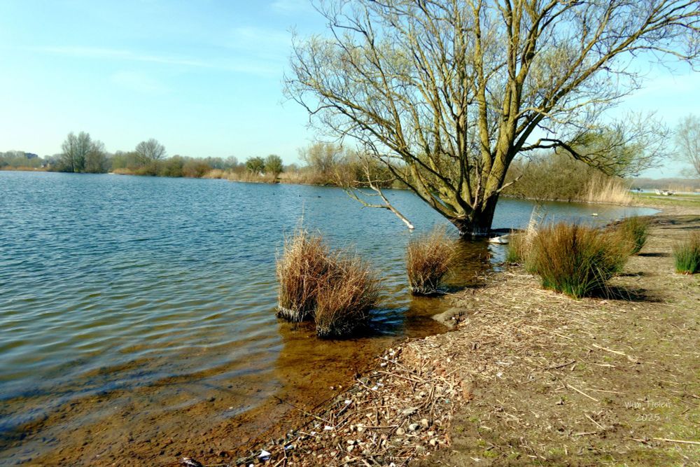 Tijdens mijn wandeling langs de Nedereindseplas bij Nieuwegein, IJsselstien tegenwoordig grondgebied van Utrecht.