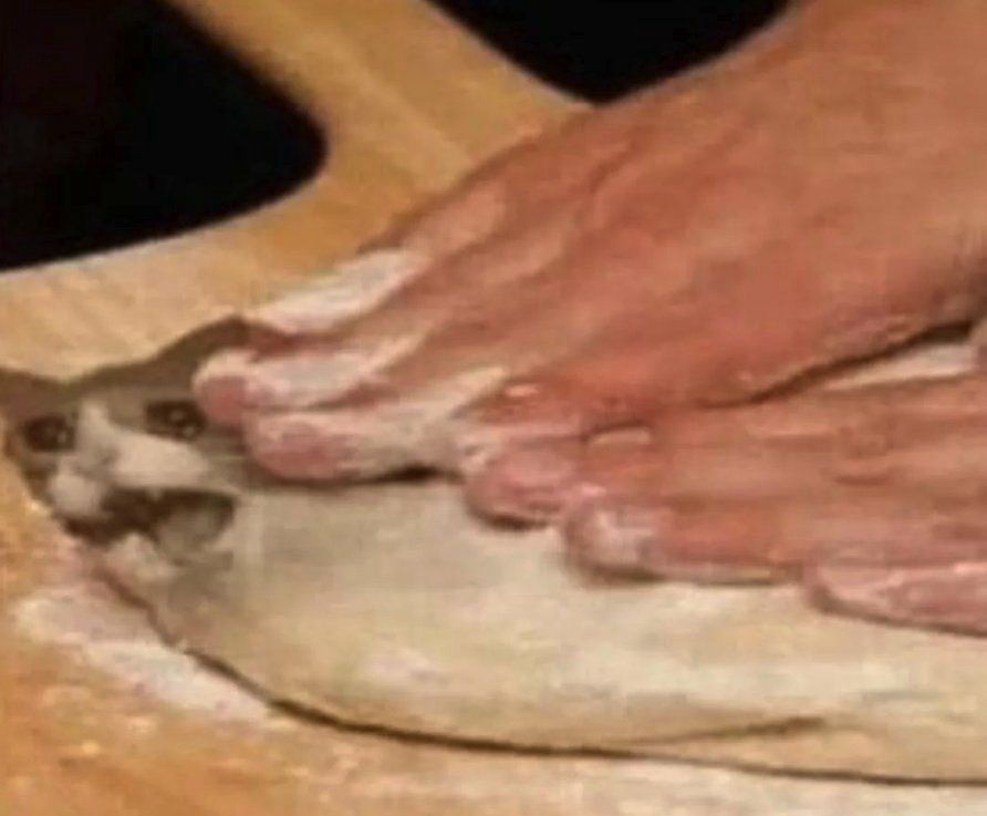 An unhappy cat that is also pizza dough being kneaded out. 