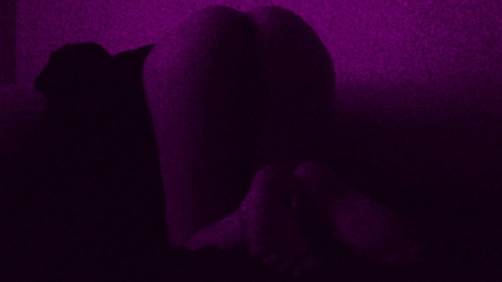 An animated gif with exclusively pink lighting, showing me on my bed, with nothing but a black jacket. I am on my knees, bent over, with my ass facing the camera, ready to be used. I shake my ass a little, then lower it towards the frame, causing even the camera to lose focus for a brief moment. I lift it back up, then turn my head to the camera at the end, but the hood covers most of my face, leaving no discernible details.