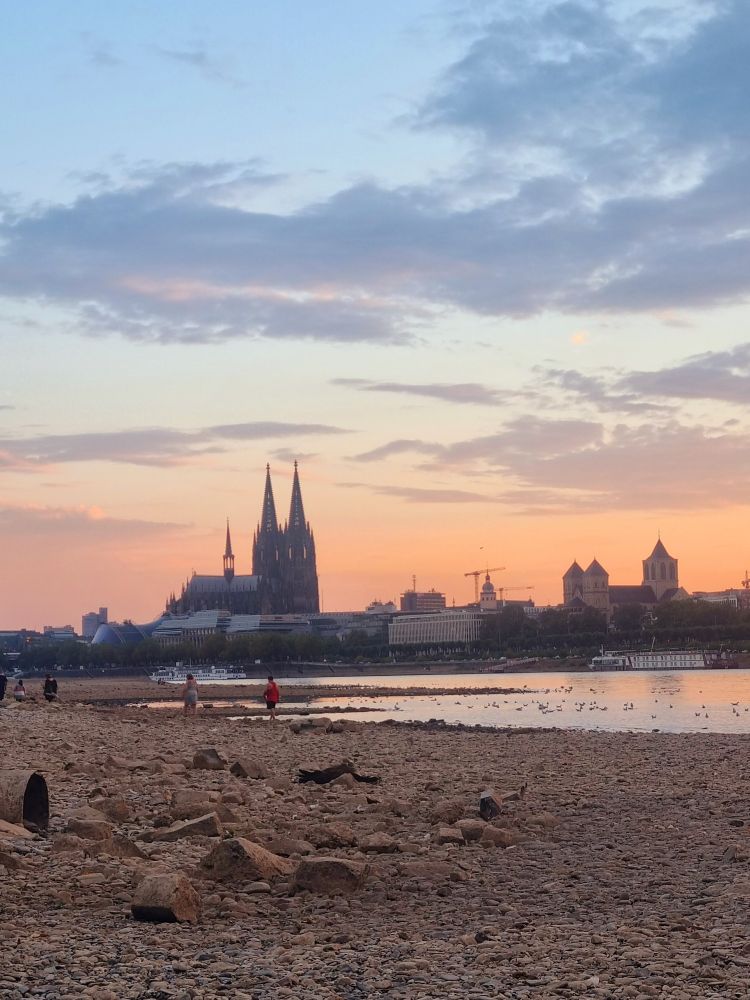 Im Hintergrund steht der Kölner Dom, in Sonnenuntergang. Davor sieht man das freigelegte trockene Flussbett des Rheins, mit etwas Wasser in der Mitte. 