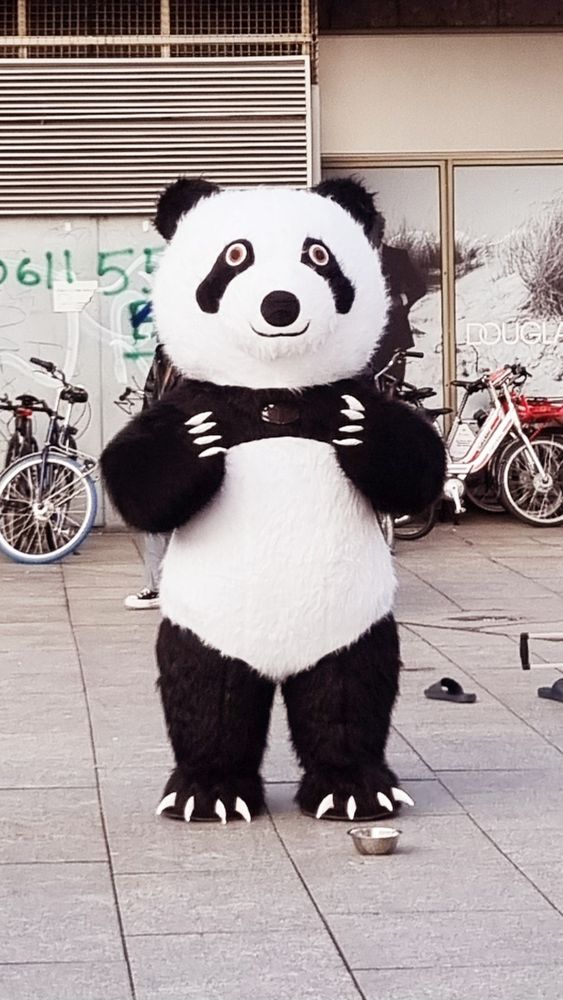 Auf dem Bürgersteig steht ein jemand in einem Panda Kostüm und schaut freundlich in die Kamera. 