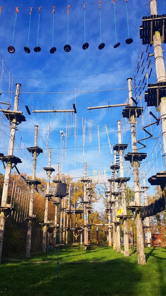 Ein Klettergarten, der aus mehreren Pfählen besteht, die durch Seile miteinander verbunden sind. 