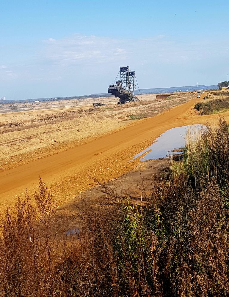 Man sieht einen riesigen Kohlebagger, der in die Tiefe der Erde gräbt, vorne einige Büsche. 