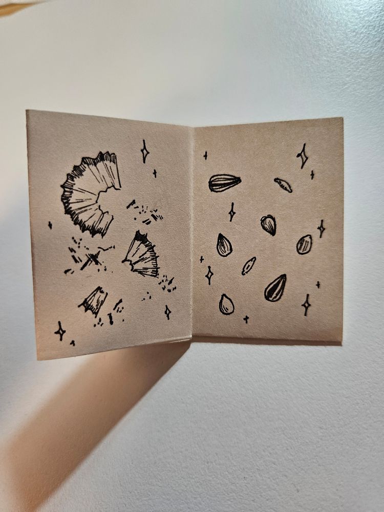 The last two page spread. The left page shows three pieces of pencil shavings, the largest/longest piece on the top, a smaller piece in the middle and the smallest fraction on the bottom. There are some shreds of lead as well.
The right page depicts various seeds.
Both motifs are surrounded by sparkles.