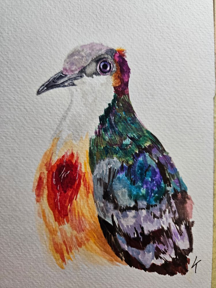 A watercolor painting of a bleeding heart dove. It is depicted from the "shoulders" up.