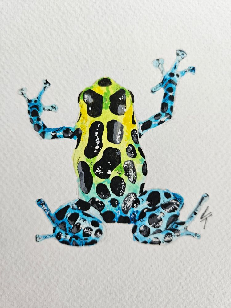 A watercolor painting of a poison dart frog. It's body is colored in a gradient of yellow to blue, it's limbs are blue and it's entire skin is covered in black spots.