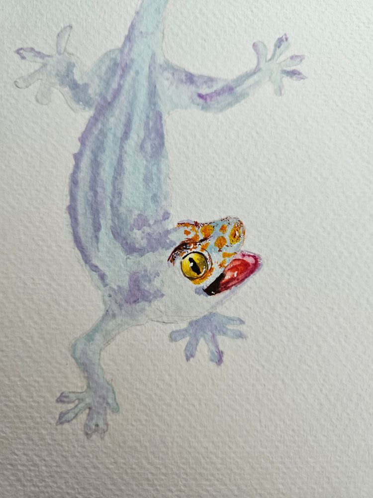 The starting of a watercolor painting of a tokay gecko. Only the mouth and eyes are rendered.