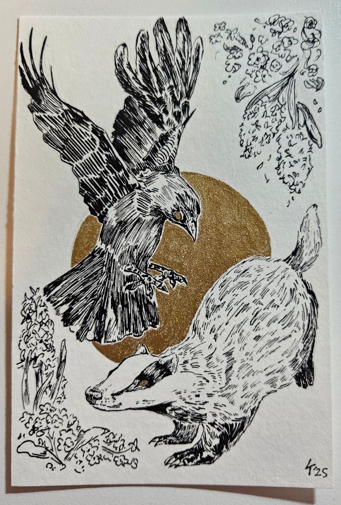 An ink drawing of a raven hovering above a badger. In the upper right and lower left corner are hyacinth and forget-me-not flowers.
Behind the animals is a circle shape in gold. The eyes of the animals are golden too.