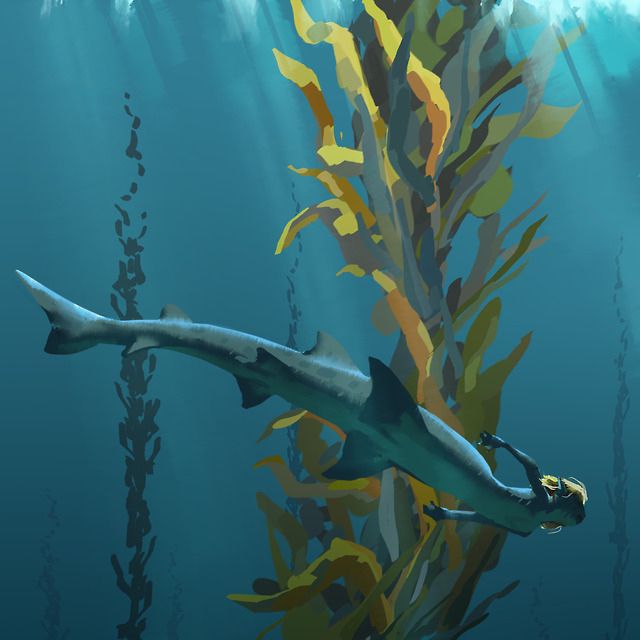 A shark-mermaid swimming past kelp