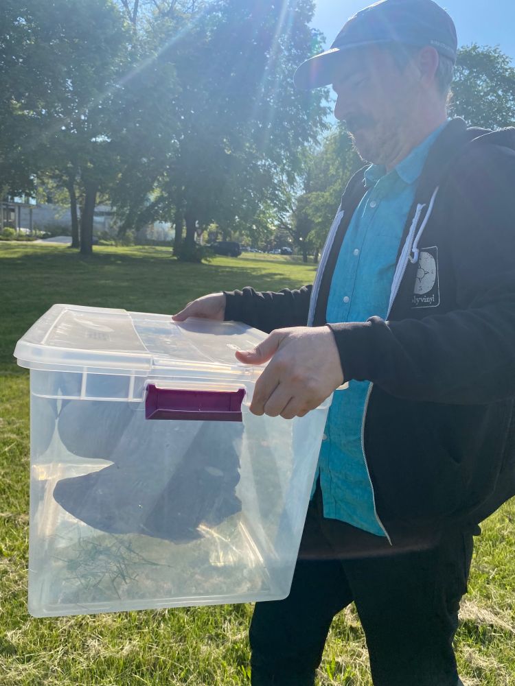 The goose is in the box, being carried by the legend himself, Cameron Walter