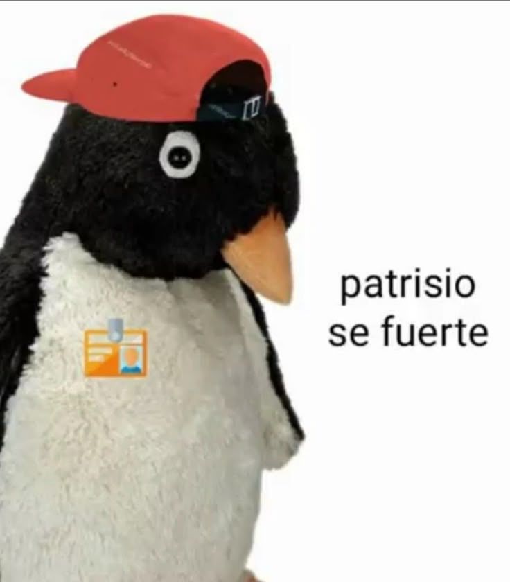 Pinguim dizendo patricio se fuerte
