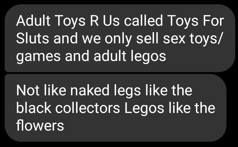 A screenshot of two messages: 
"Adult Toys R Us called Toys For Sluts and we only sell sex toys/ games and adult Legos"
"Not like naked legs [sic] like the black collectors Legos like the flowers"