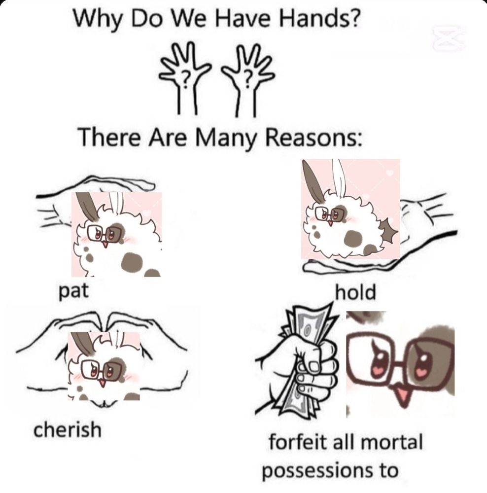 Why do we have hands meme, with Bunnie.