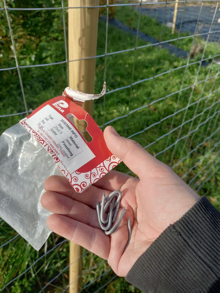 Takana verkkoaita, edessä käsi, jossa muutama sinkilä.