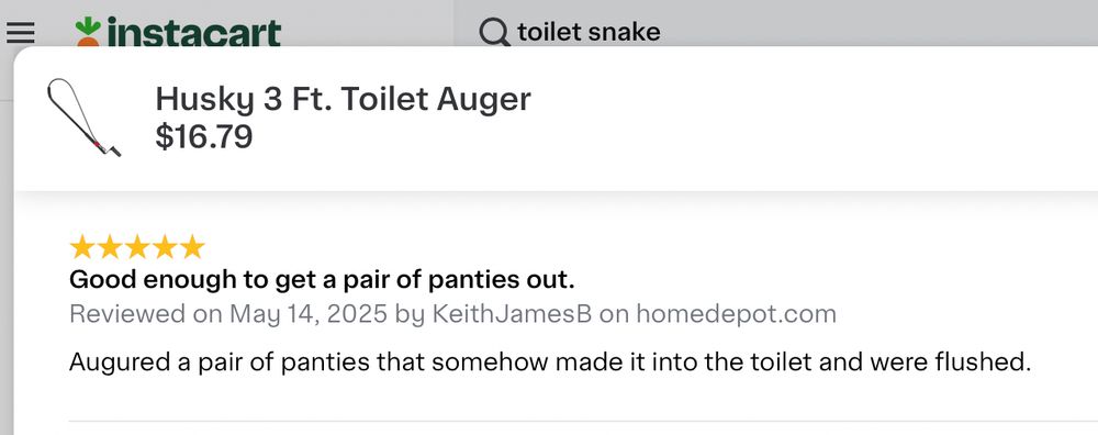 Instacart, Home Depot: Husky 3 ft. toilet auger.

(Five star review) - Good enough to get a pair of panties out... Augured a pair of panties that somehow made it into the toilet and were flushed.