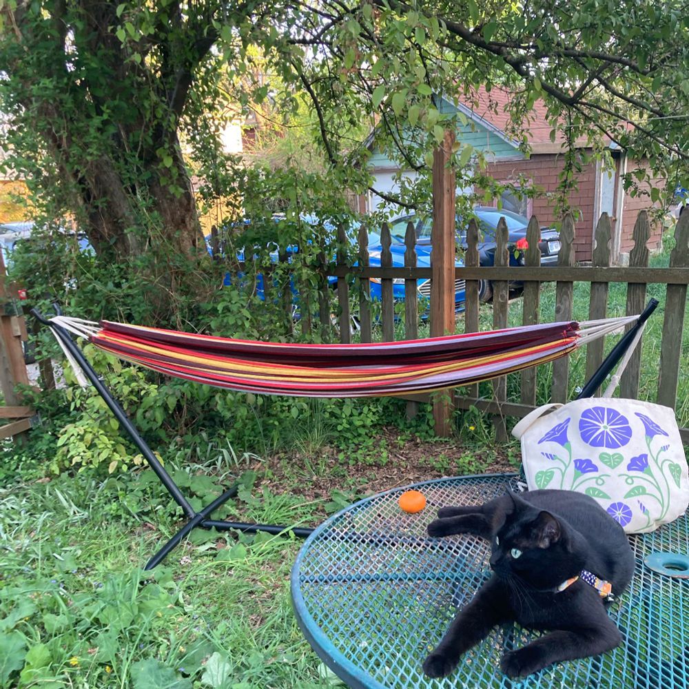 new hammock + salem