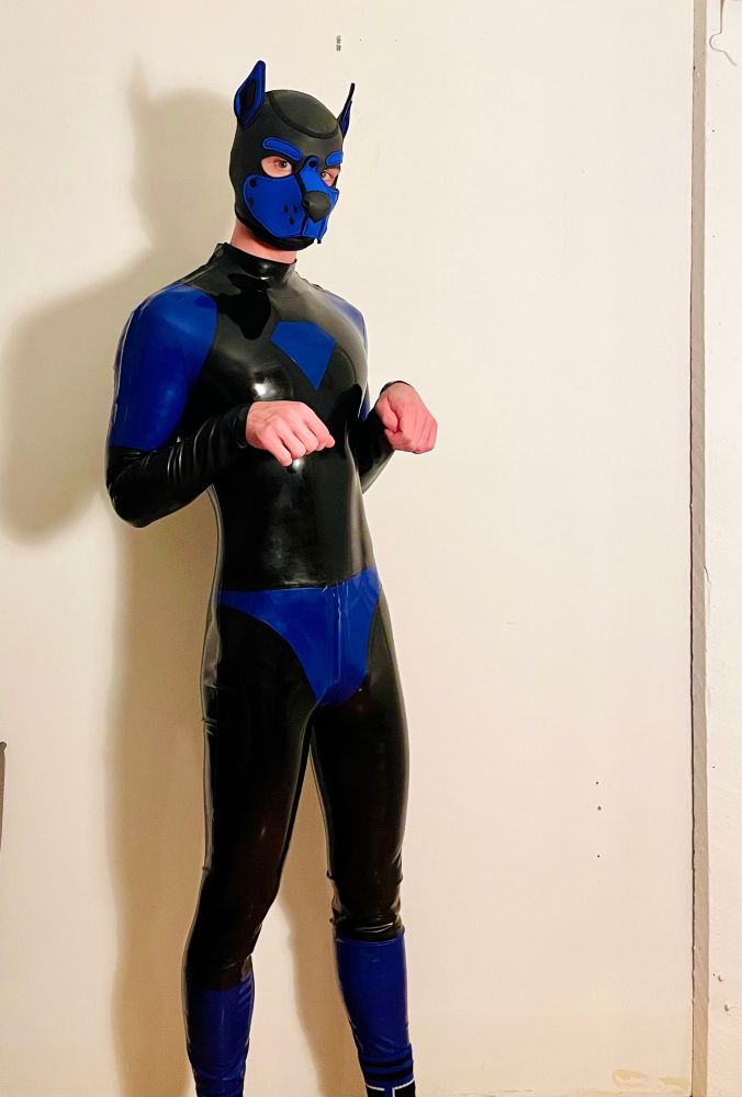 Pup in blue