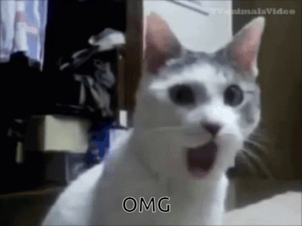 a cat with its mouth wide open and the word omg written on it