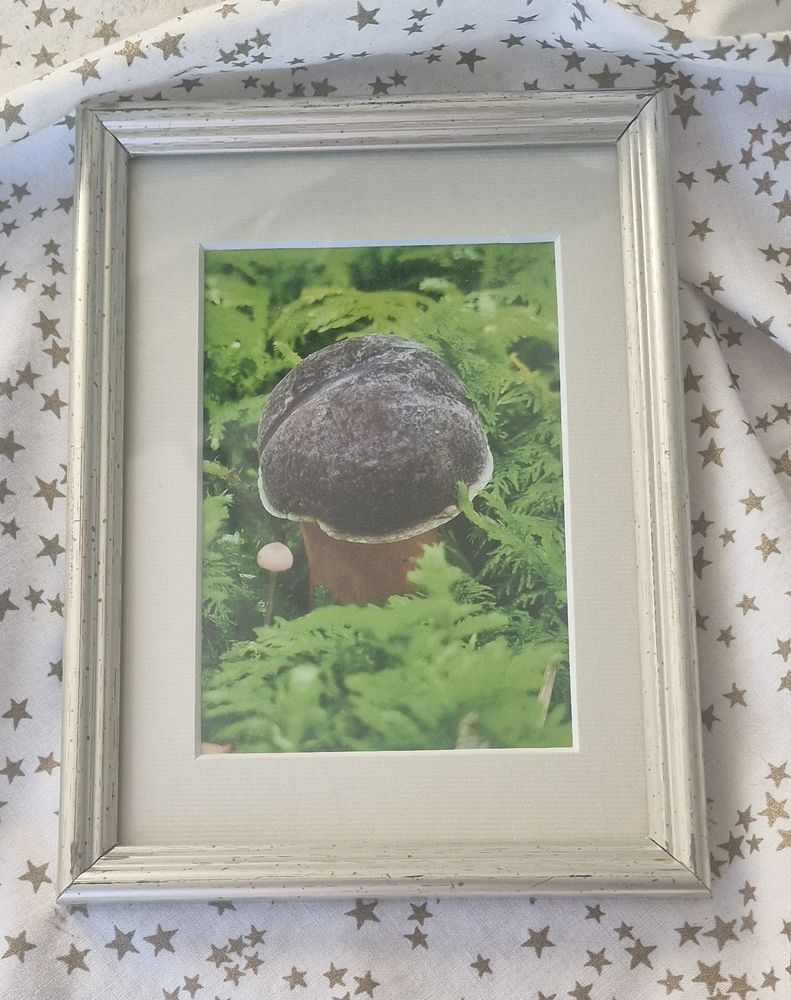 Foto von Herbstrotfuß in silbernem Rahmen