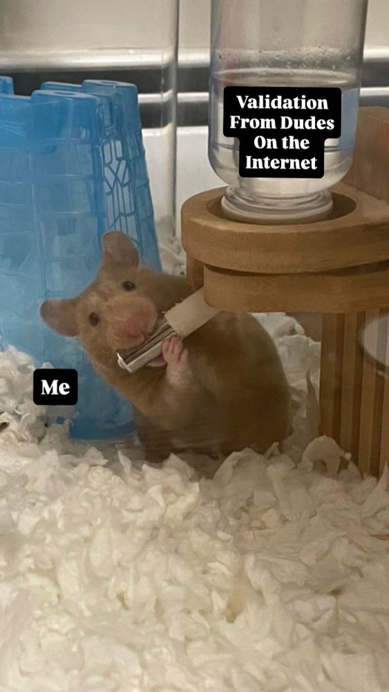 A hamster drinking from a water bottle. The hamster is labeled as me. The water bottle is labeled as validation from dudes on the internet. 