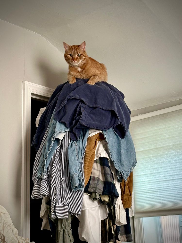 Orange cat sits atop a stack of clean laundry. That laundry happens to be on top of a door. 
