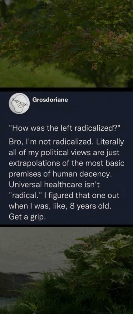 this is a screenshot of a social media post set against a waterfront painting backdrop (i think)- it reads:

Grosdoriane
"How was the left radicalized?"
Bro, I'm not radicalized. Literally all of my political views are just extrapolations of the most basic premises of human decency.
Universal healthcare isn't
"radical." I figured that one out when I was, like, 8 years old.
Get a grip.