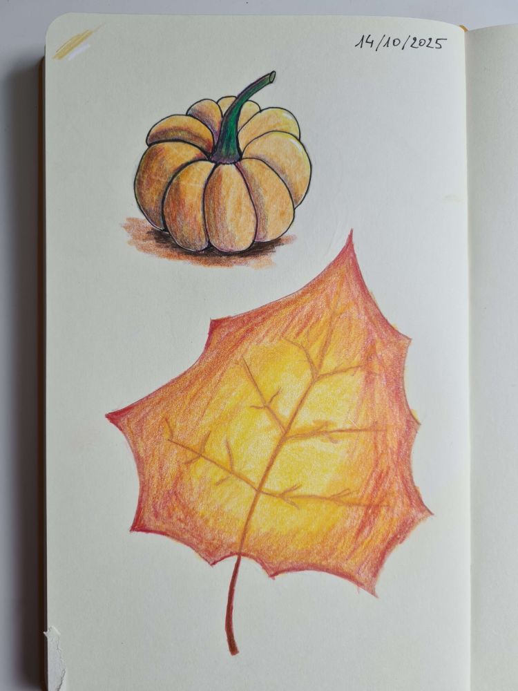 Pumpkin and leaf
