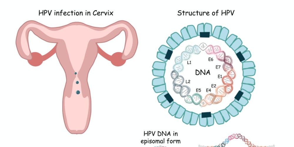 Guess what? We can prevent some cancers through vaccination.