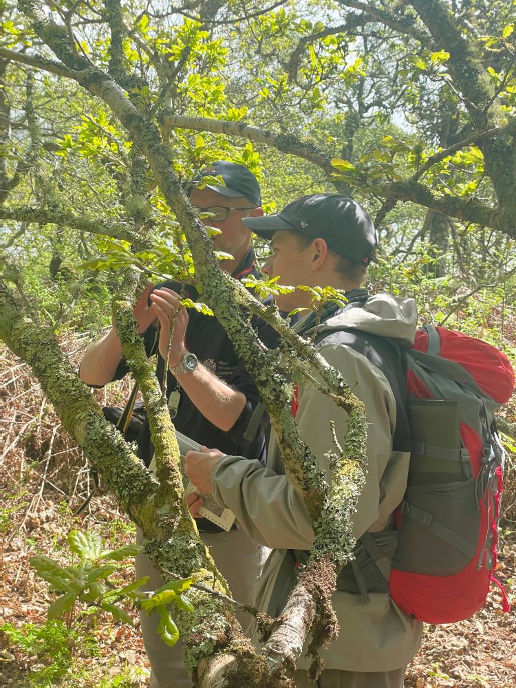 
📷Highlights from a site visit at Ferry Wood. Photo Sally Gouldstone.