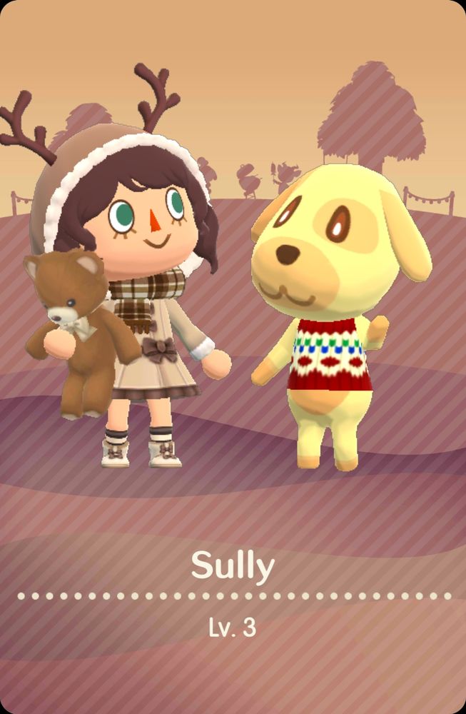 Animal crossing pocket camp cards for Sully Macchi
