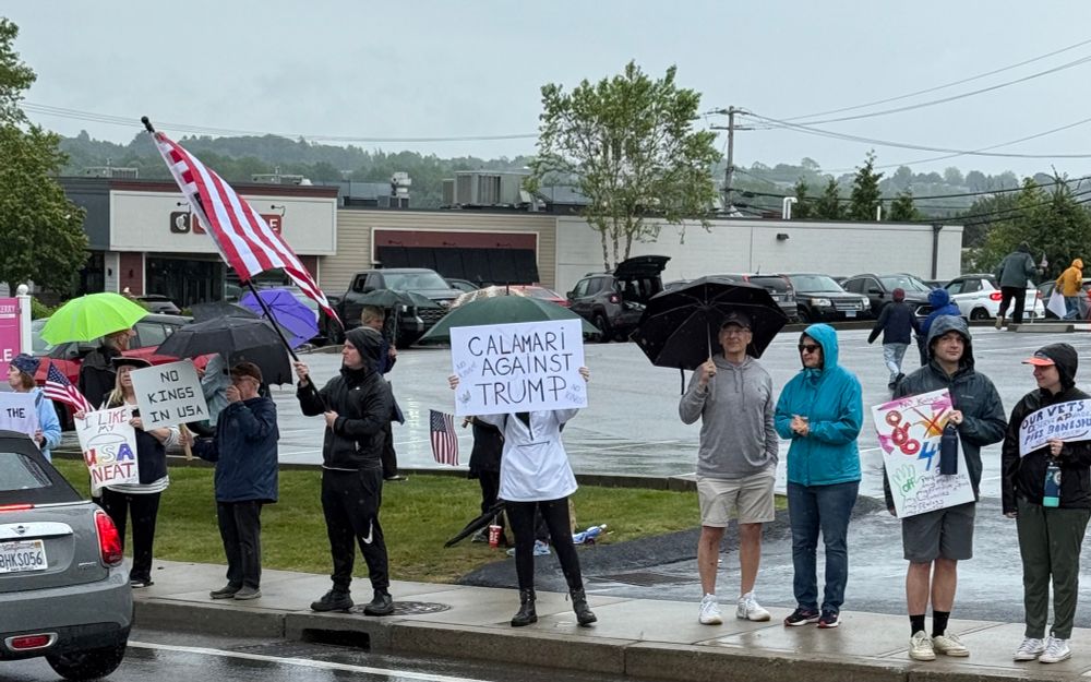 Protestor holds sign that says Calimari against Trump