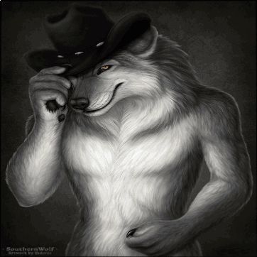 a drawing of a wolf wearing a cowboy hat by southernwolf