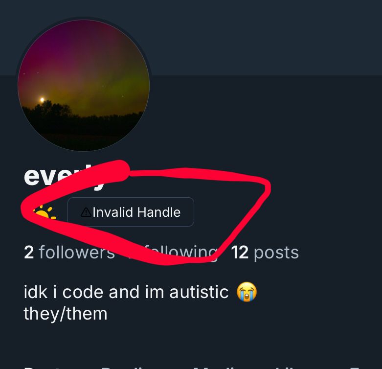 A possibly glitch with the bluesky app where it displays the text “Invalid Handle” instead of displaying my handle on my profile
