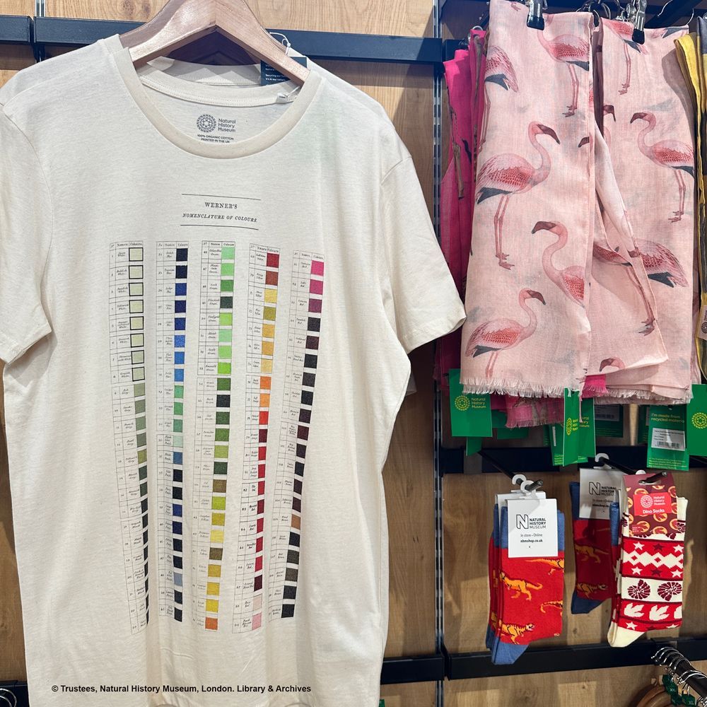 A display of t shirts, scarves and socks.