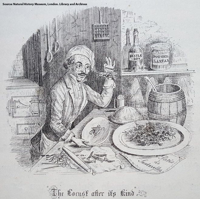 A print of a man with moustache and nightcap eating locusts from a platter.