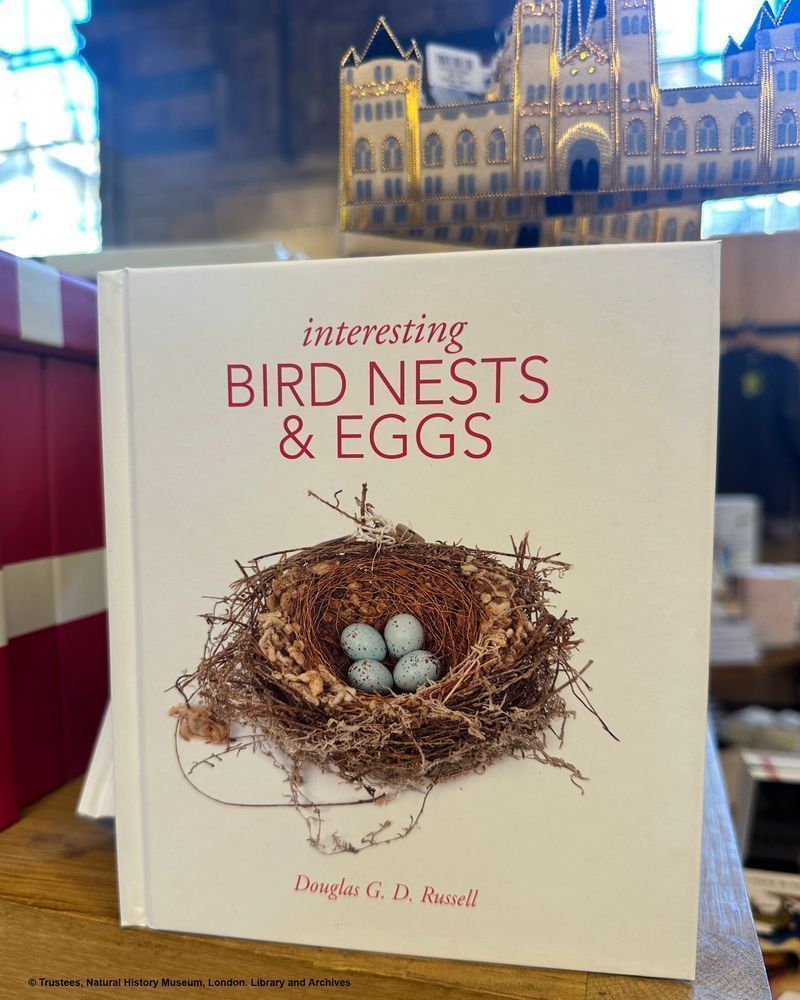 The book 'Interesting bird nests and eggs'.