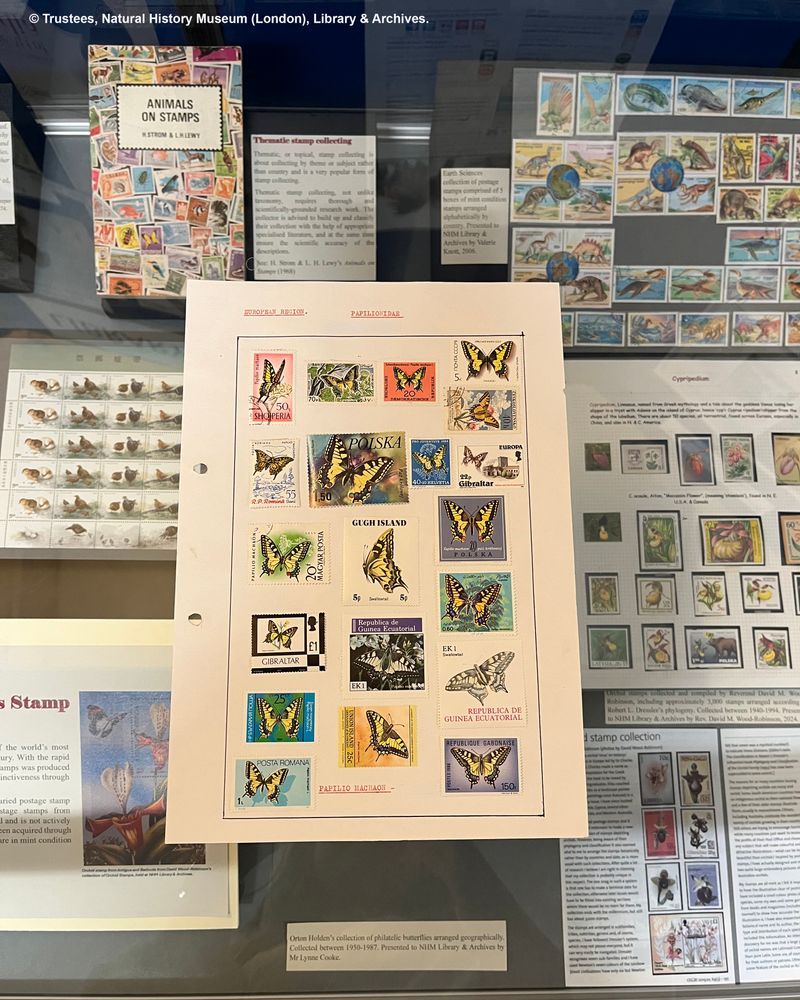 Stamps depicting animals and plants displayed in groups on paper.