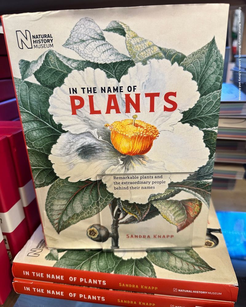 The book 'In the name of plants' on display.
