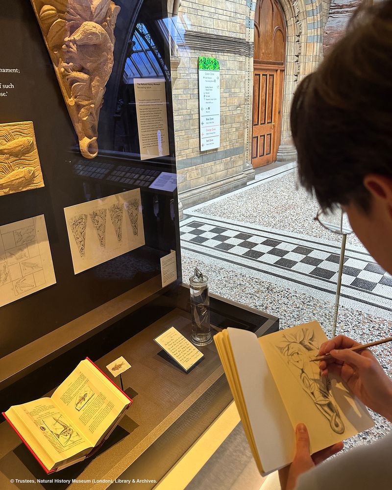 Looking over the shoulder of a person who is standing in a gallery sketching in a notebook from items in a glass case in front of them.