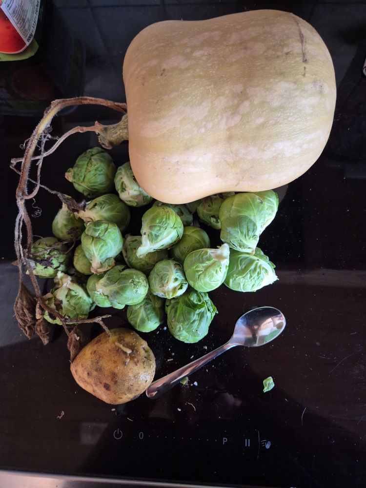 On a black hob, from top to bottom
A short but very plum butternut squash that is still a bit too green ti be picked but it is evident from the withered stalk attached that it had to be taken up.
Around 20 quite large Brussel sprouts.
One lonely floury potato that I found hiding whilst digging my compost in, next to a teaspoon.