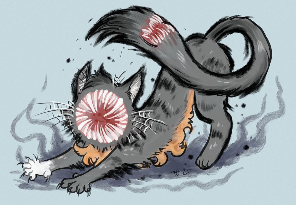 Scorch stretching