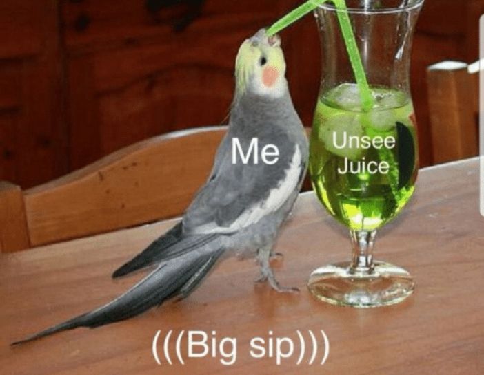 Unsee Juice Big Sip meme. Bird drinking green juice through a straw.
