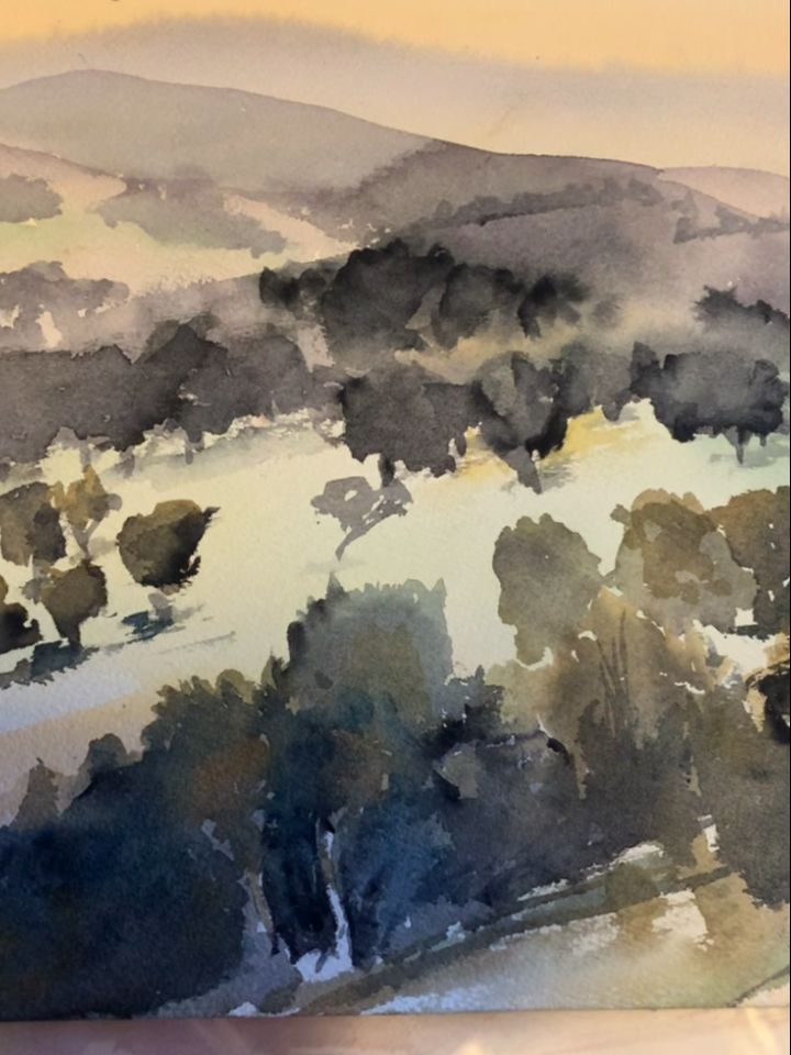 What colour image of a hillside trees on it.
