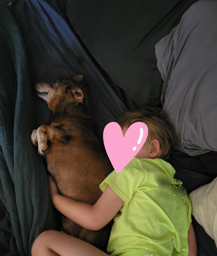 A young child spooning an elder dachshund as they nap 