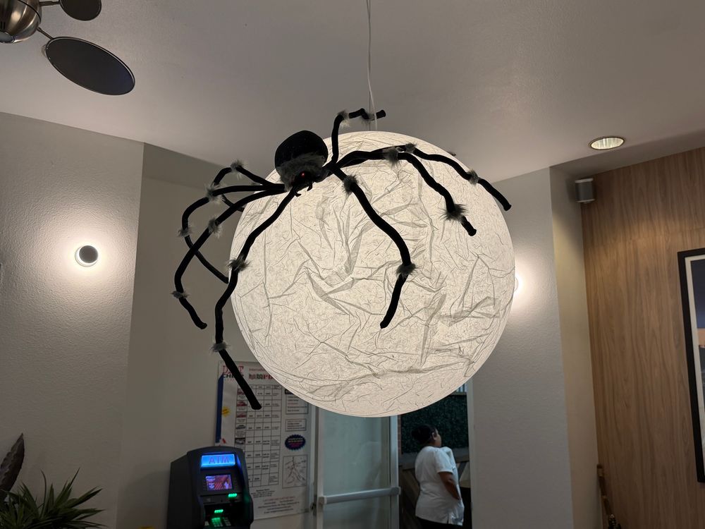Large fake Halloween spider on paper ball lamp 
