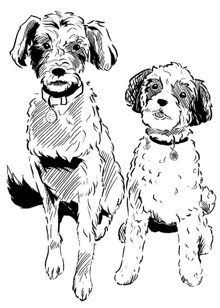 Two dogs sit side by side. One is taller and more scruffy, while the other has curly fur and has its mouth open, showing its panting tongue 