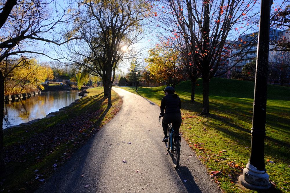person biking on a path in a park